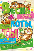 81.361.00 "Весна идет, орут коты, а ты цветешь от красоты" 