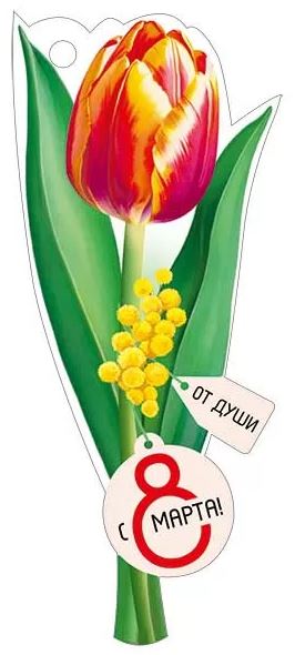 81.856.00 "С 8 Марта" мини