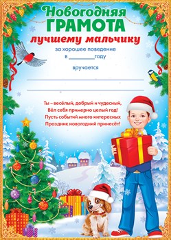 11.634 Новогодняя грамота лучшему мальчику А4