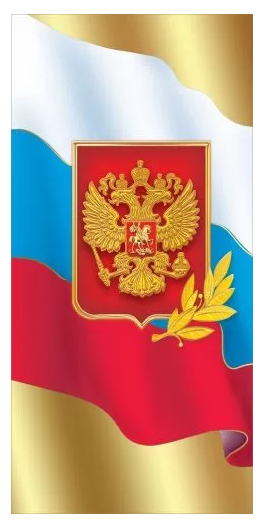 6000225 Без названия! Российская символика
