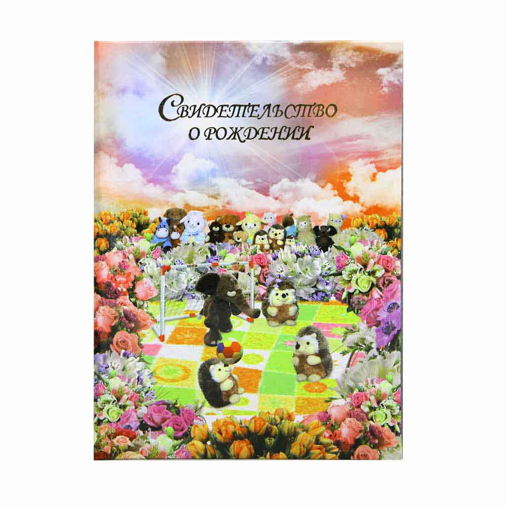 Папка адр. ламин. "Свидетельство о рождении" ИМ Футбол